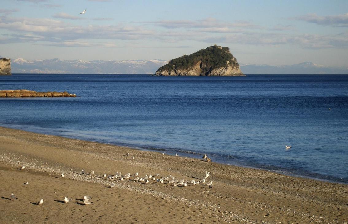 Golfo Dell'isola *